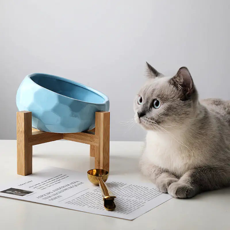 Purrrfect cat bowl